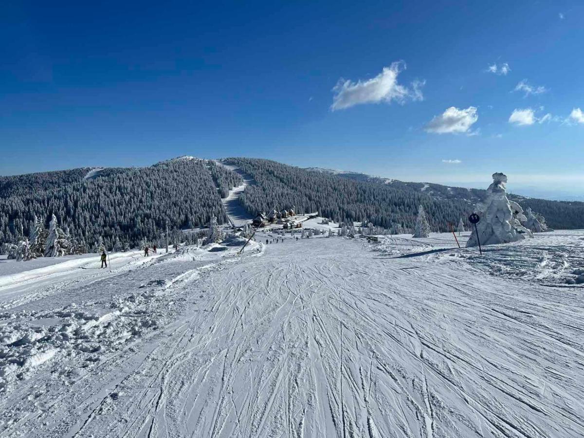 Ski&Spa Milmari L17 โคเปานิก ภายนอก รูปภาพ