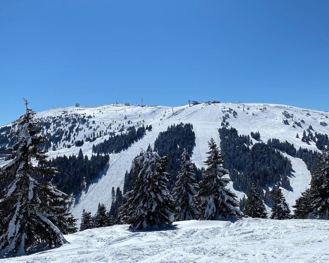 Ski&Spa Milmari L17 โคเปานิก ภายนอก รูปภาพ